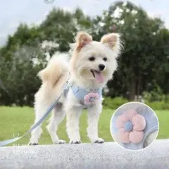犬用ハーネス リード付き　Mサイズ　ブルー — image 1