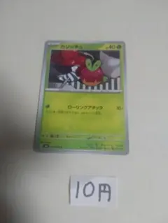 【在庫4枚】カジッチュ — image 1