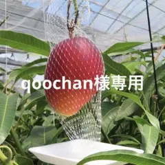 qoochan 様専用 — image 1