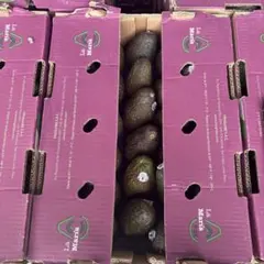 ペルー産　アボカド　30個 5kg — image 1