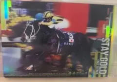 サラブレッドホースコレクション　４R　ステイゴールド — image 1