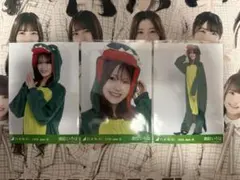 乃木坂46 生写真　福井ver.コーデ　奥田いろは　コンプ — image 1