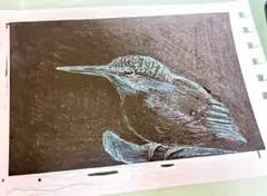 カワセミイラスト　 ポストカードサイズ — image 1