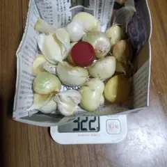 無農薬消毒ジャンボ無臭ニンニク約３００グラム — image 1