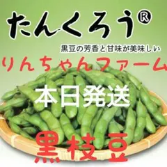 ⑲たんくろう 黒枝豆 — image 1