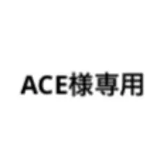 ACE様専用 2点セット — image 1