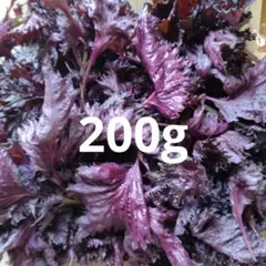 赤しそ　赤紫蘇　200g. 145 — image 1