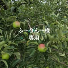 ふ〜りん〜様専用 — image 1