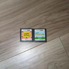 NINTENDO DS カセット2本 本体❌ — image 1