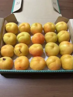 長野県産 新潟大実 訳あり 1kg — image 1