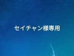 セイチャン様専用 — image 1