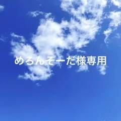 めろんそーだ様専用 — image 1