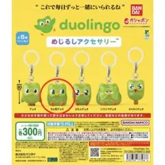duolingo めじるしアクセサリー — image 1