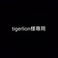 tigerlion様専用 — image 1