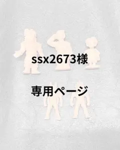【ssx2673様】専用ページ — image 1