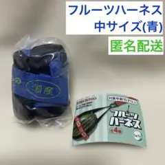 フルーツハーネス　中サイズ　青 — image 1