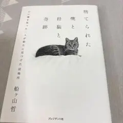 捨てられた僕と母猫と奇跡 : 心に傷を負った二人が新たに見つけた居場所 — image 1