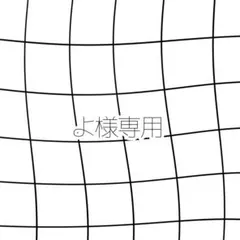 よ様専用 — image 1