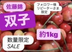 フォロワー様リピーター様 数量限定販売 — image 1