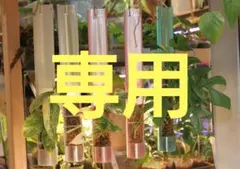 A様専用 — image 1