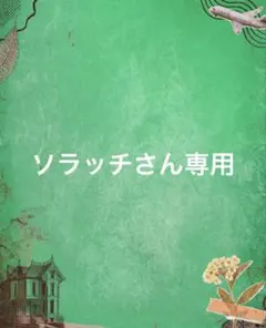ソラッチさん専用 — image 1