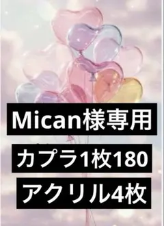 Mican様専用　カプラ1枚　アクリル4枚 — image 1
