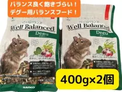 三晃商会　ウェルバランスデグー　400g 2個 — image 1