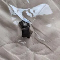 星型　黒柿　イヤリング — image 1