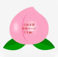 たぬま様専用ページです❁⃘*.゜ — image 1