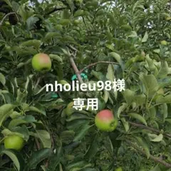 nholieu98様専用 — image 1
