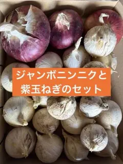 紫玉ねぎとジャンボニンニクのセット　コンパクトBOX箱込み約1.6キロ — image 1