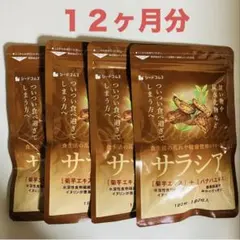 サラシア　 シードコムス　約3ヶ月分x４袋　 サプリメント【大容量】 — image 1