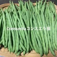 6/21 Consuellaコンスエラ様専用 — image 1