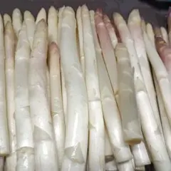 ホワイトアスパラガスB級品【700g】 露地栽培ピクルス用 — image 1