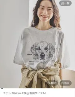 今季完売商品✨ニコアンド ドローイングBIGDOGTシャツ グレー L — image 1