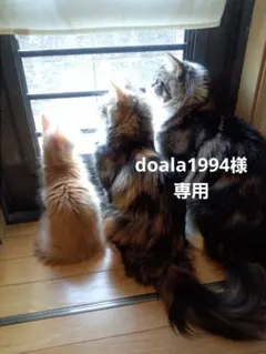 doala1994様専用です♪︎ — image 1