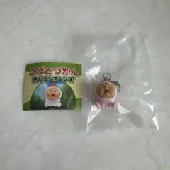 こびとづかん めじるしアクセサリー — image 1