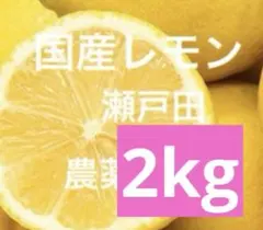 3.国産瀬戸田レモン2kg — image 1