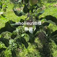 nholieu98様専用 — image 1