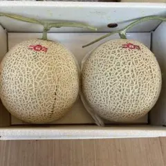 高知県産 温室メロン 2玉入り — image 1