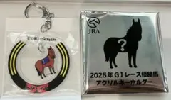 JRAウェルカムチャンスE賞キーホルダー　レガレイラ — image 1