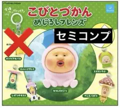 【セミコンプ】こびとづかん めじるしアクセサリー 5点セット — image 1