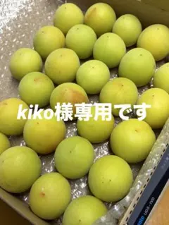 kiko様専用品 — image 1