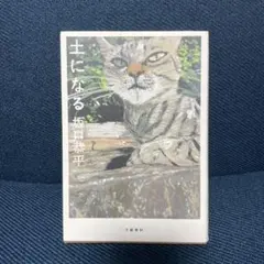 土になる — image 1