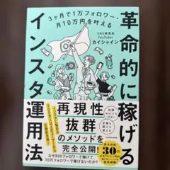 3ヶ月で1万フォロワー・月10万円を叶える 革命的に稼げるインスタ運用法 — image 1