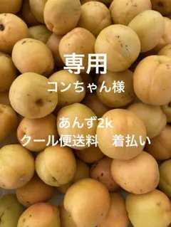 コンちゃん 様専用2k クール便送料別　着払い — image 1
