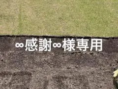 ∞感謝∞様専用26 — image 1