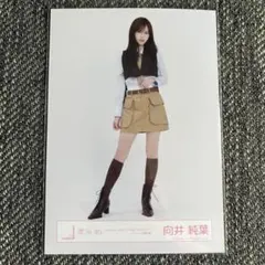 櫻坂46 向井純葉 生写真 Lonesome rabbit ジャケ写 — image 1