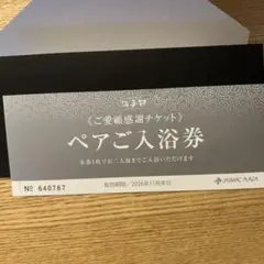 JASMAC PLAZA ペアご入浴券 — image 1
