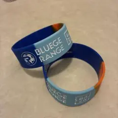 BLUEGE RANGE DAZN シリコンバンド 2本セット　ワールドカップ — image 1